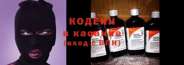 прущие грибы Арсеньев