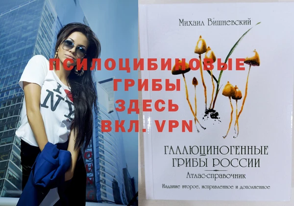 прущие грибы Арсеньев